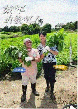 城市漫游者 旅行慢综艺免费在线观看